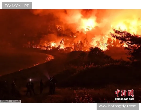 开云体育pp未来发展规划与创新亮点，期待带来更多惊喜